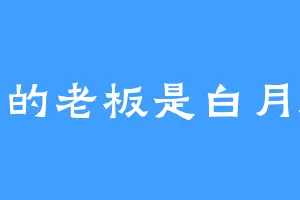 我的老板是白月魁