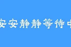 安安静静等待中