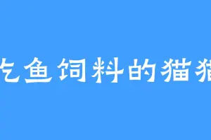 爱吃鱼饲料的猫猫头