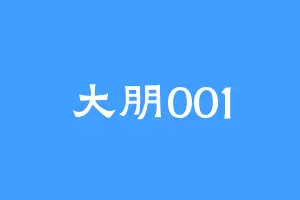 大朋001