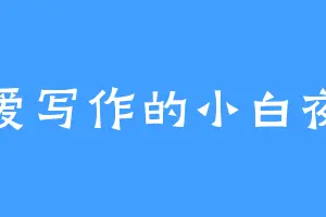 爱写作的小白夜