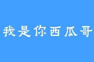 我是你西瓜哥