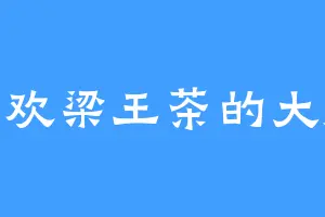 喜欢梁王茶的大康