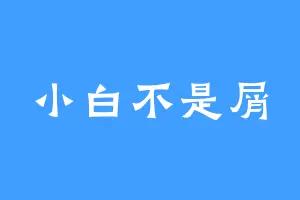 小白不是屑
