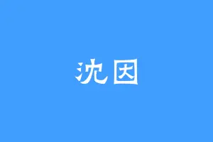 沈因