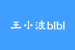 王小波blbl