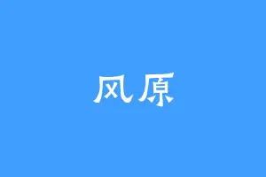 风原