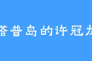 塔普岛的许冠龙
