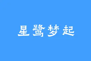 星鹭梦起