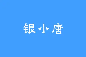 银小唐