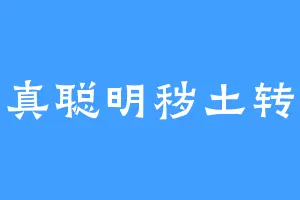 你真聪明秽土转生