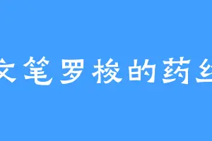 文笔罗梭的药丝