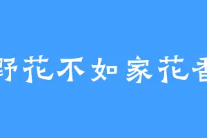 野花不如家花香