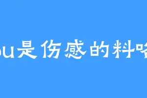 bu是伤感的料咯